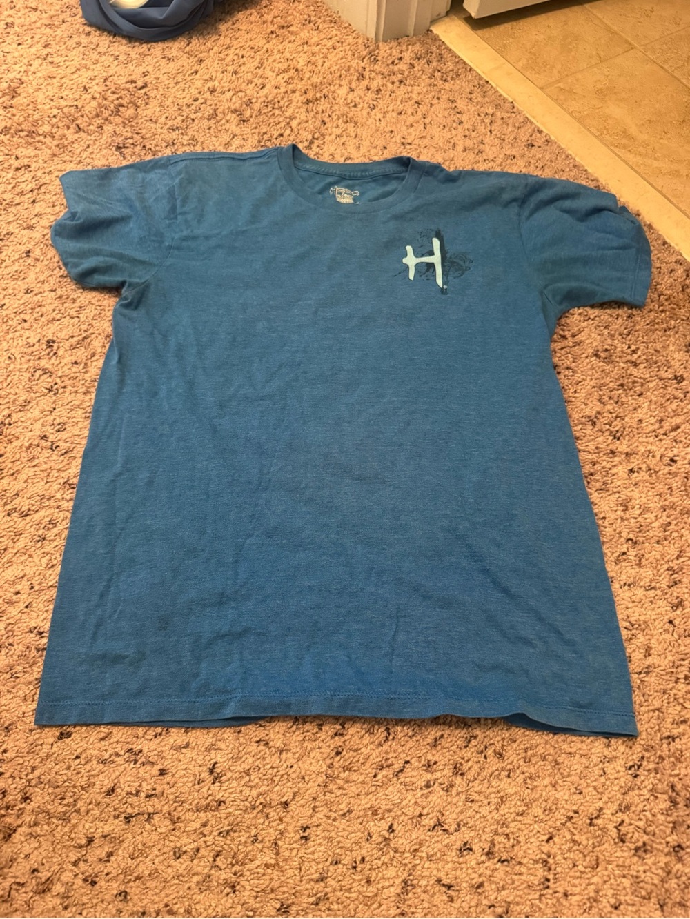 Men's Teal Short-Sleeve Graphic Tee